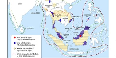 Kart Malayziya malyariya